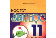 Hướng Dẫn Giải Bài Tập Sinh Học 11