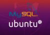Tìm hiểu và hướng dẫn cài đặt MySQL trên Ubuntu Ubuntu Mysql