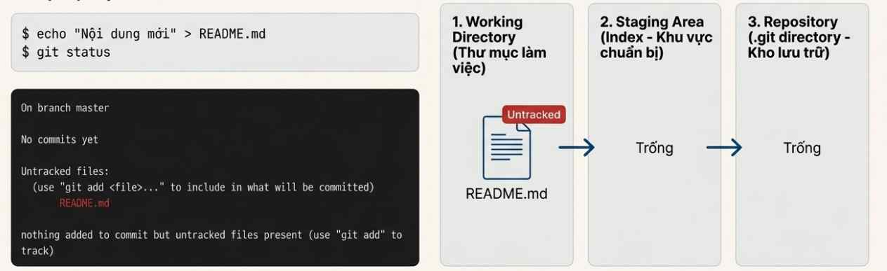 Git Status